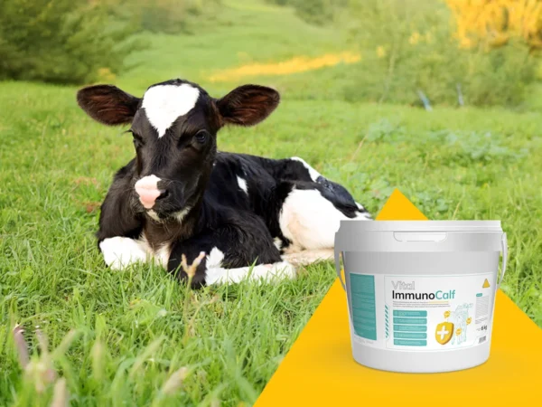immunocalf_nowosc
