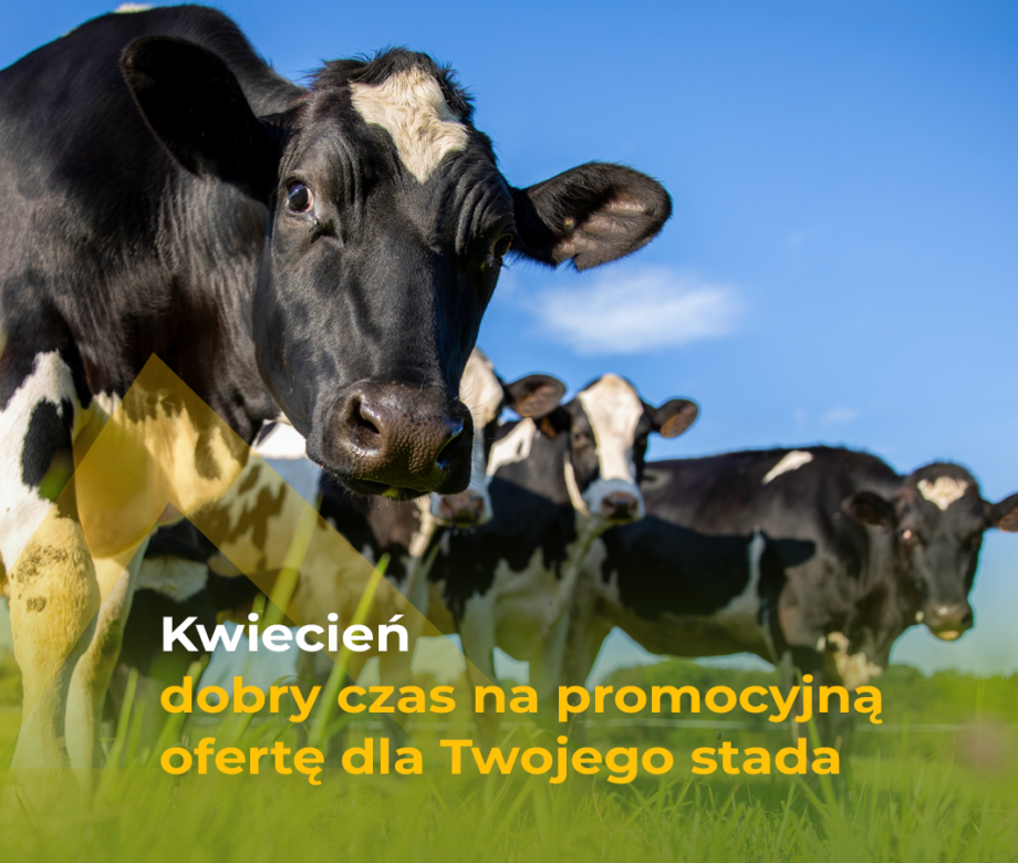 kwietniowe_promocje26